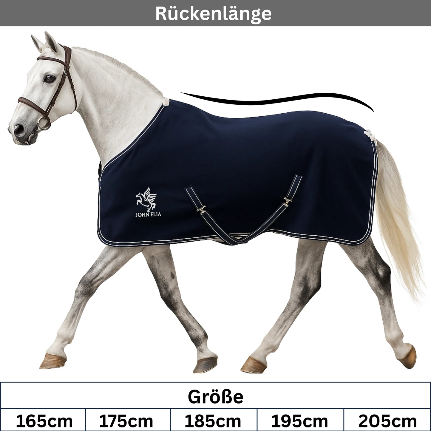 Horse wearing a navy blanket with a visible brand logo on a white background
