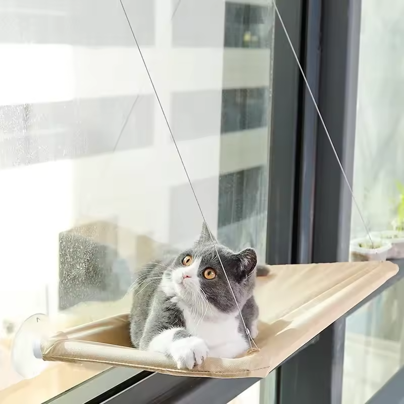 Katzenfensterhängematte Saugnapf Waschbar Abnehmbarer Haustiersitz
