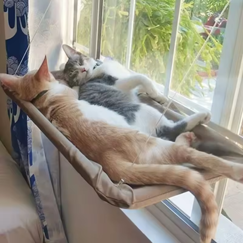 Katzenfensterhängematte Saugnapf Waschbar Abnehmbarer Haustiersitz