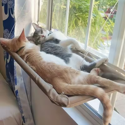 Katzenfensterhängematte Saugnapf Waschbar Abnehmbarer Haustiersitz