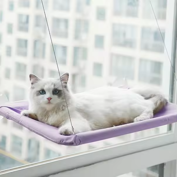 Katzenfensterhängematte Saugnapf Waschbar Abnehmbarer Haustiersitz