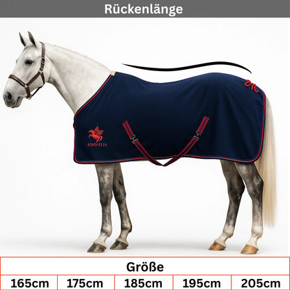 Horse wearing a navy blanket with red trim on a white background