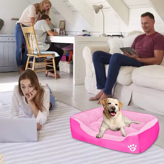 Happy Labrador in pink plush dog bed, family room setting