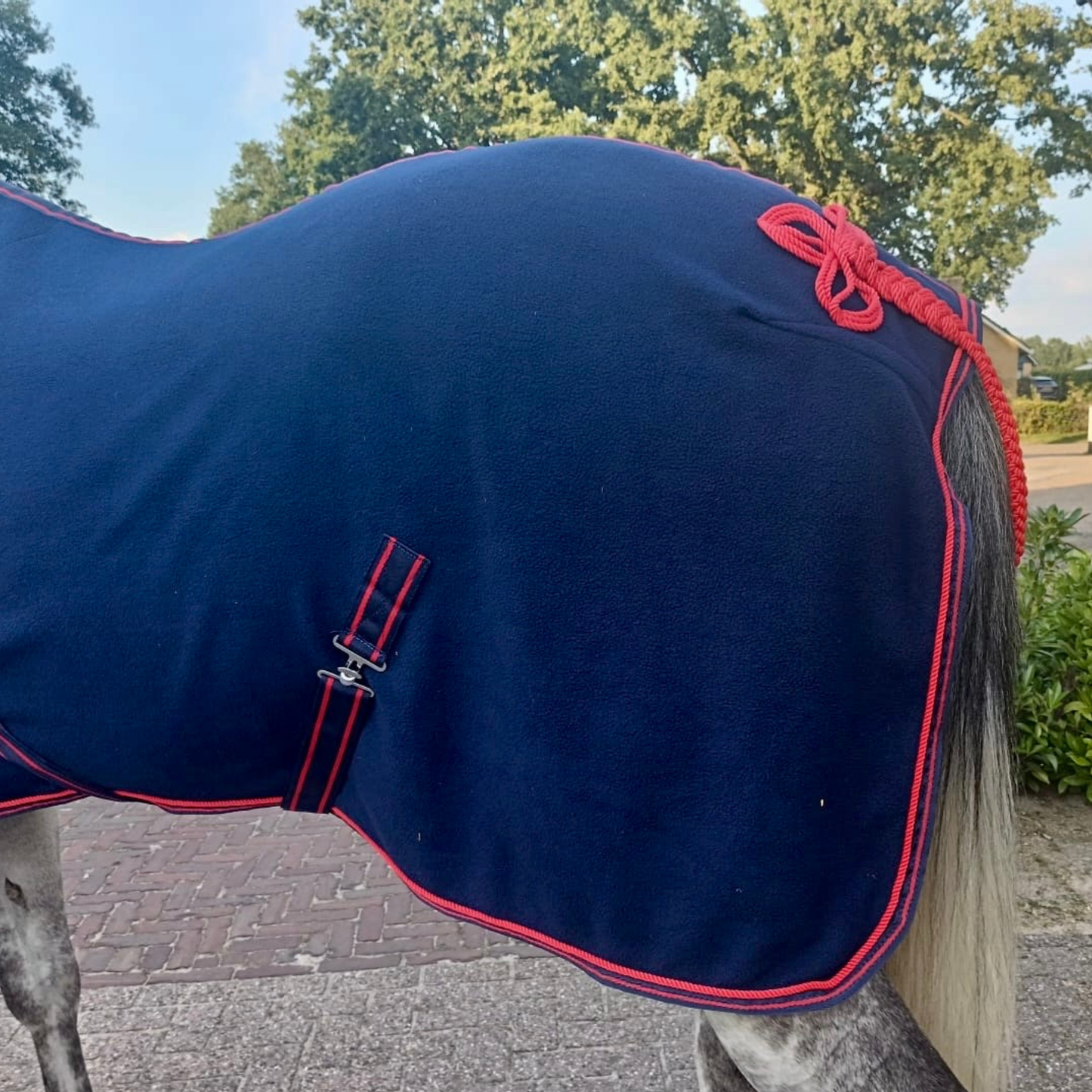 Horse wearing a blue blanket with red trim on a paved area with trees in the background