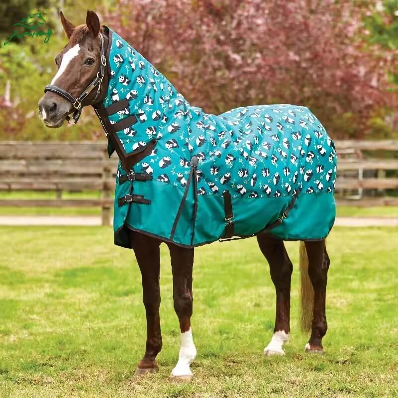 Horse wearing a teal blanket with black and white pattern in an outdoor setting