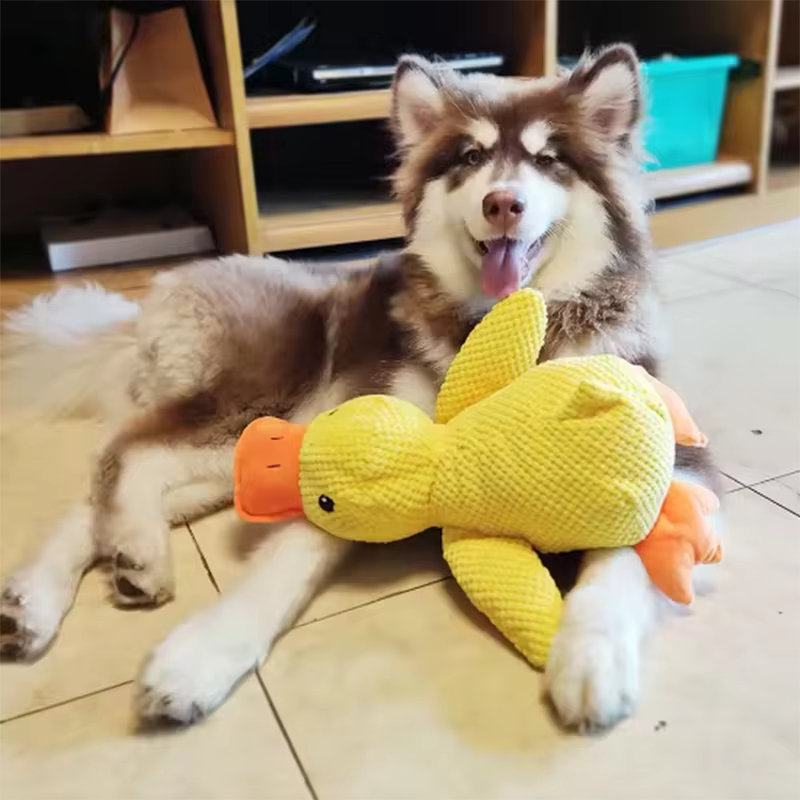 Hund Plüsch Entenspielzeug Interaktives Quietsche-Trostspielzeug Welpe Kauen Teddy